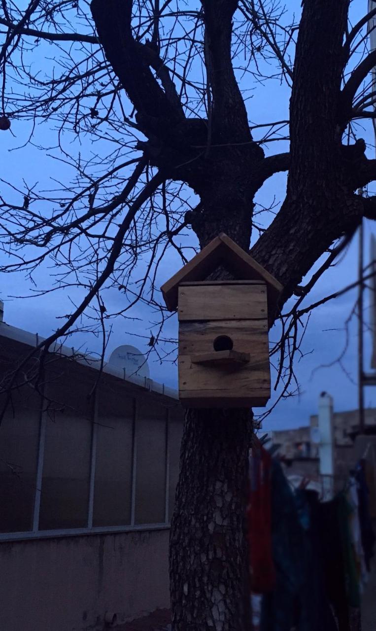 Birdhouse Rooms Tiflis Exterior foto