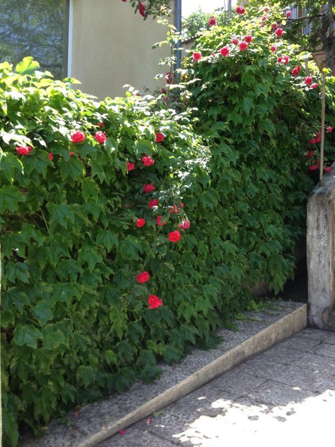 Birdhouse Rooms Tiflis Exterior foto